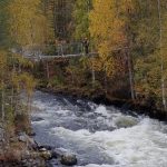 Pieni karhunkierros Kuusamossa