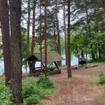 Tammiste, Pärnu, Viro