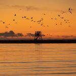 parnu_lintutorni_AdobeStock_323650439 Pärnu vesi lintutorni