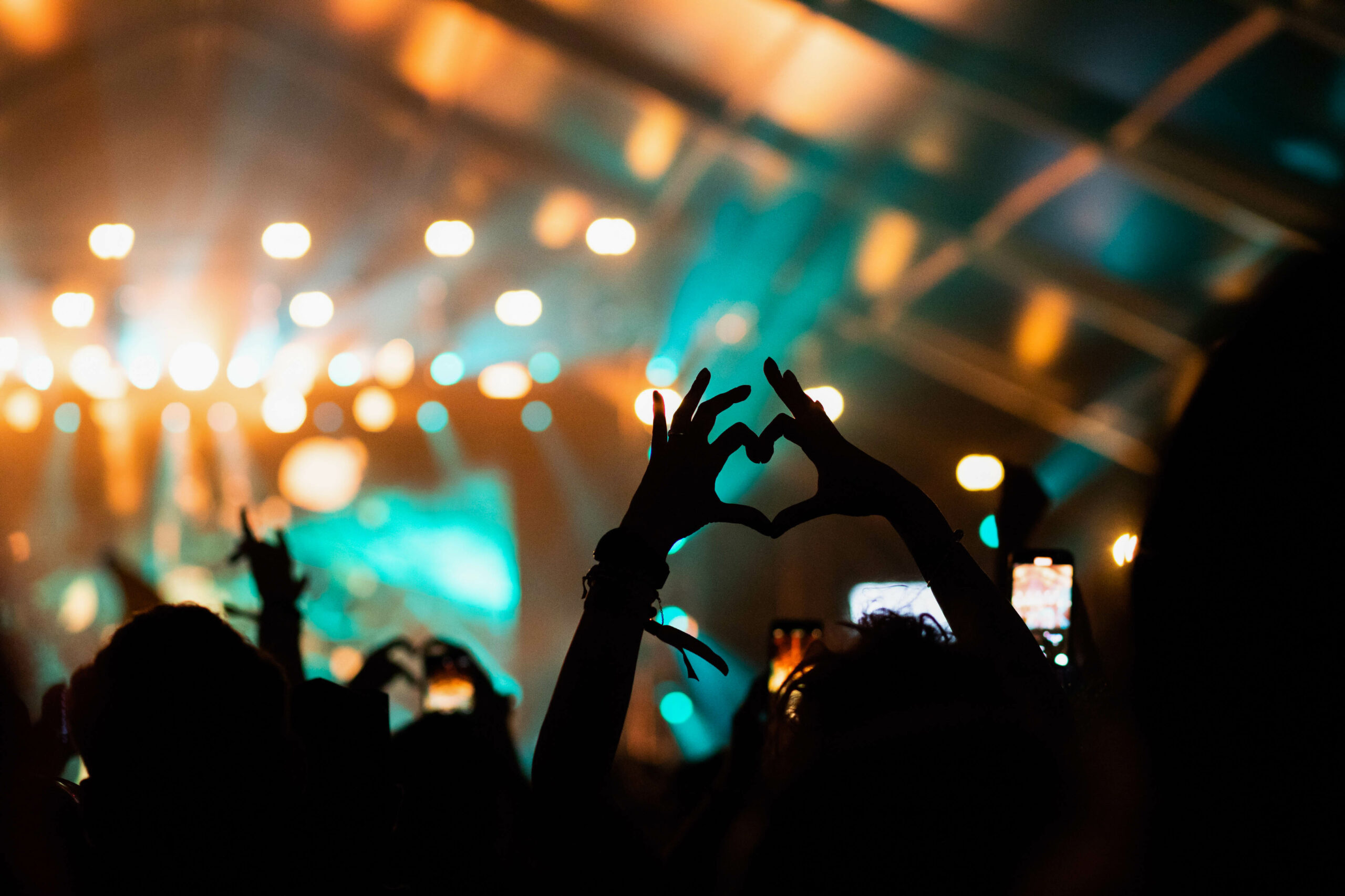 crowd at concert - summer music festival