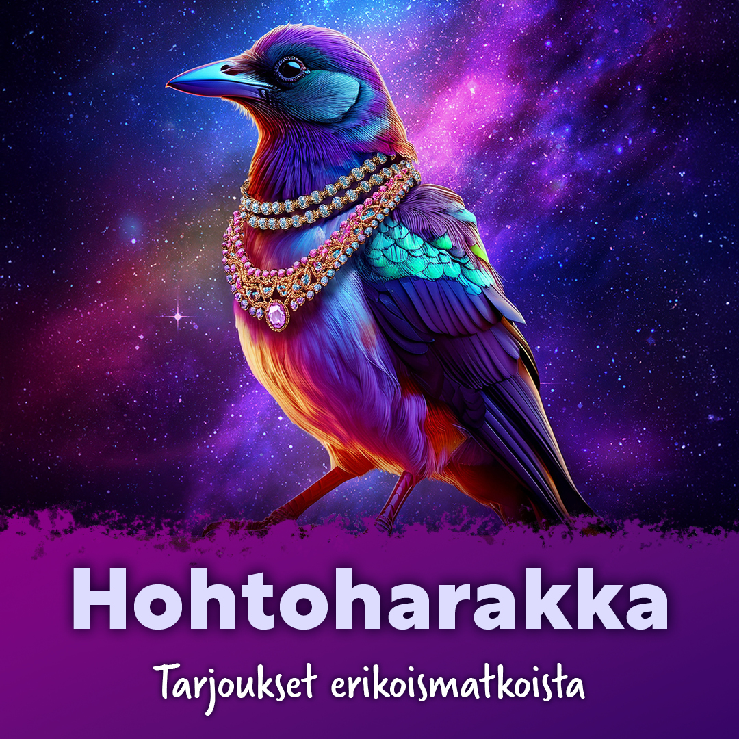 Neliö Öörli Böörd Hohtoharakka - Erikoismatkojen tarjoukset
