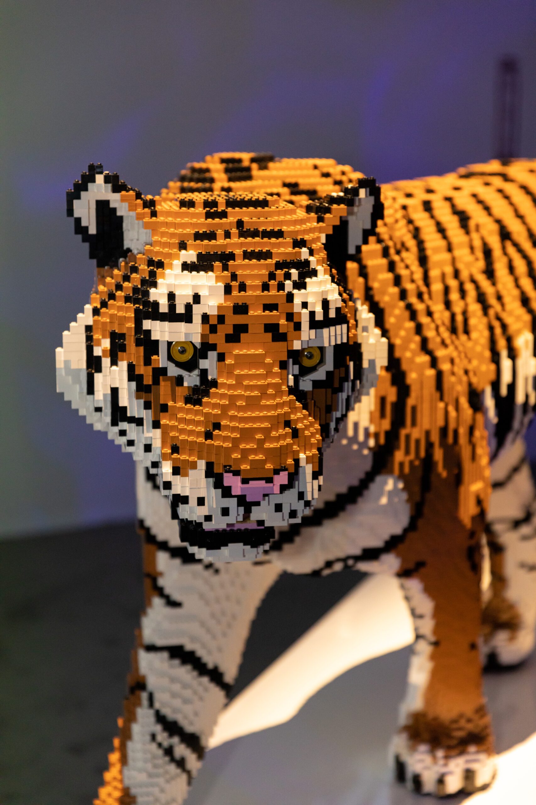 Tiikeri_ArtoftheBrick-AaronSchorchPhotography