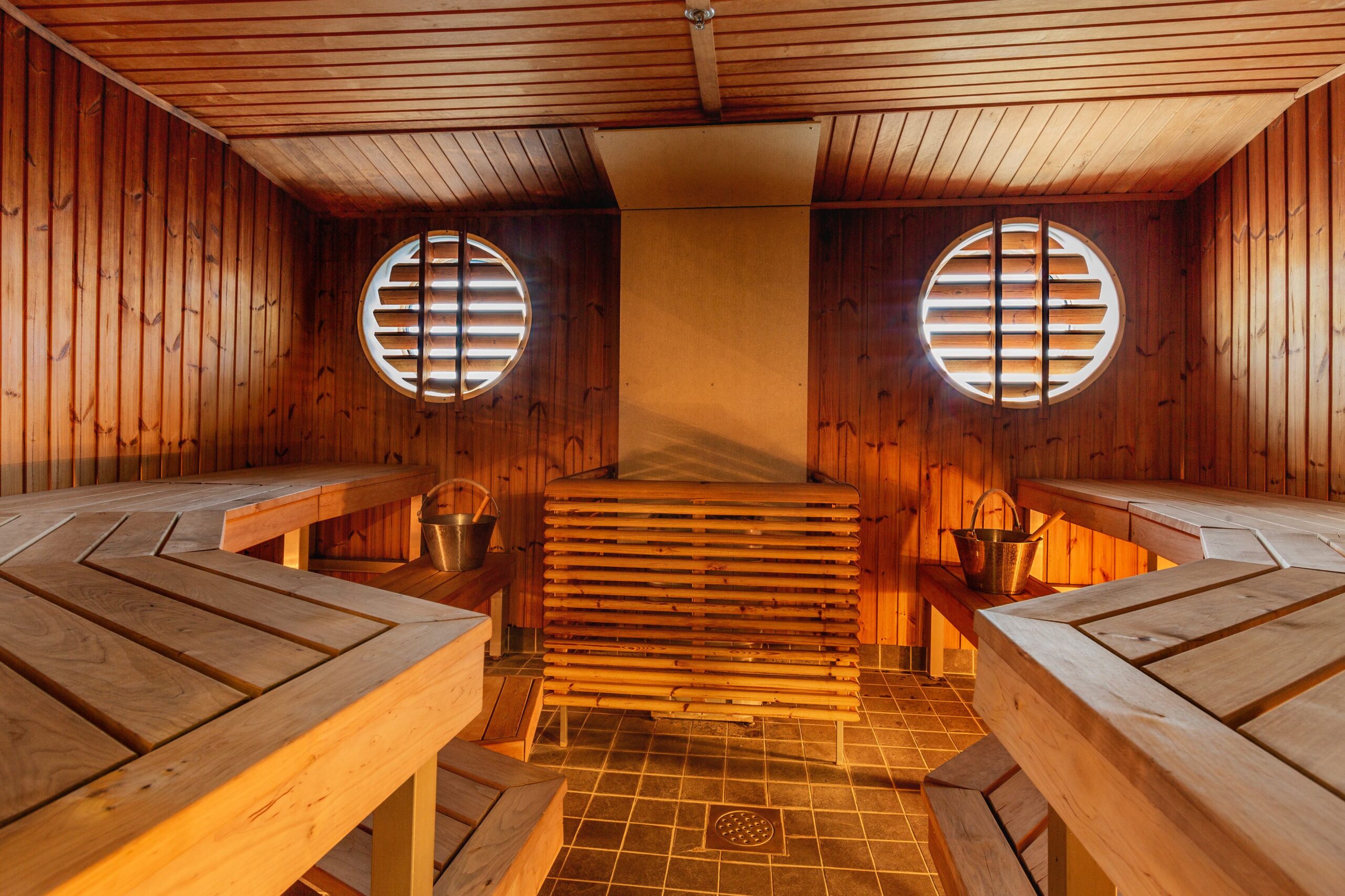 Symphony_Sunflower_Oasis