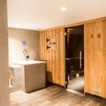 WellnessOasis, sauna