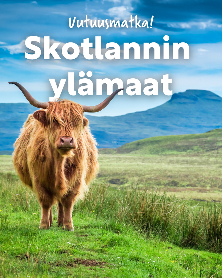 Skotlannin ylämaat (1) (1)