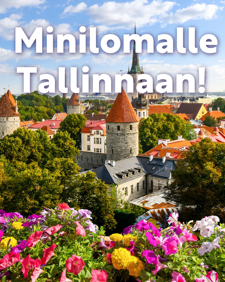 Tallinna_miniloma (1)